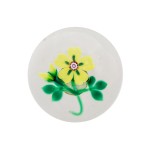Yellow Primrose - Peter Holmes LoResPeterHolmesYellowPrimrose_4849